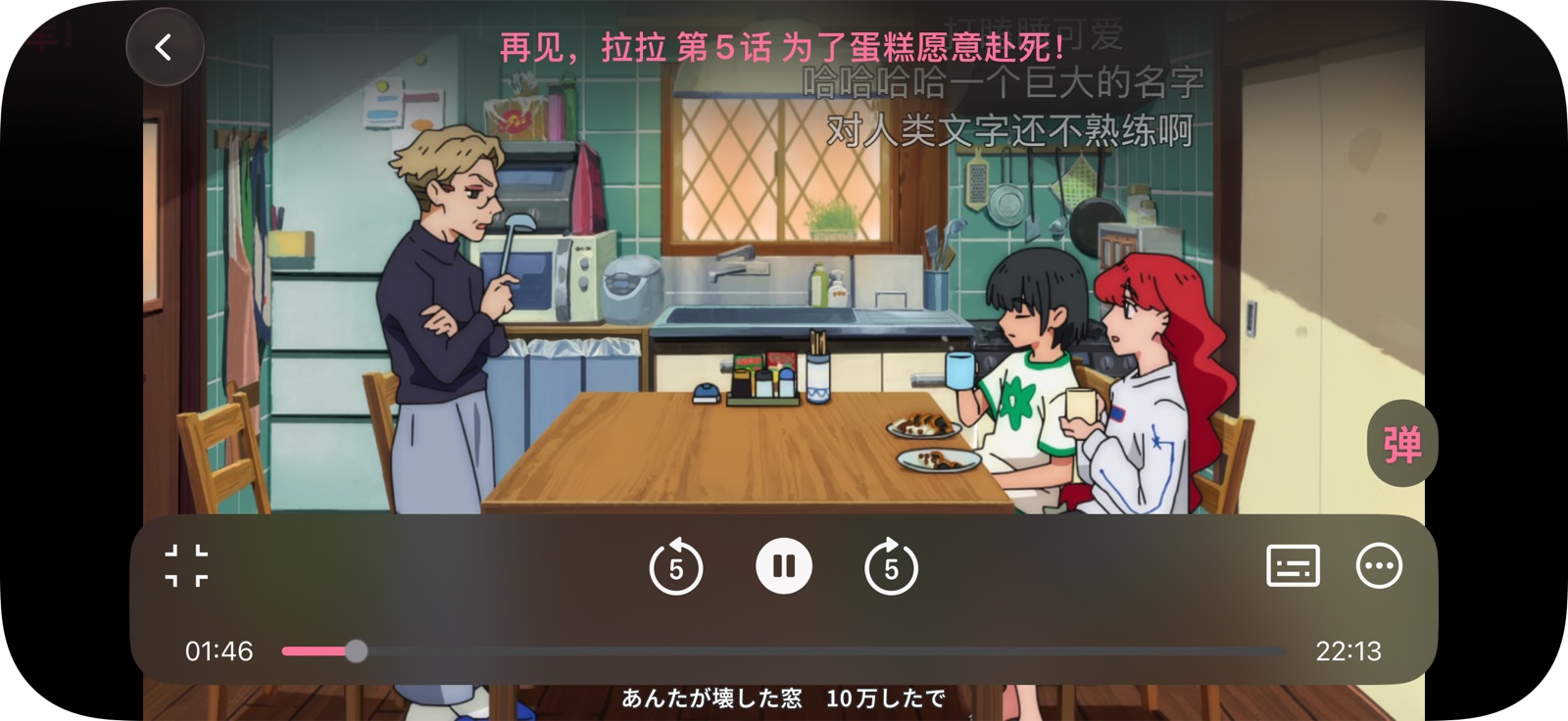 AnimacX iPhone 播放器、弹幕与播放控制界面